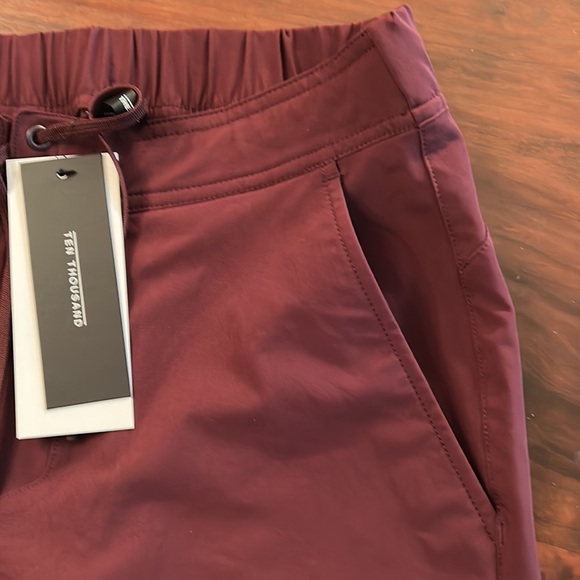 NWT Ten Thousand Maroon Foundation Short (No Liner) 9" Size Large - Picture 4 of 5